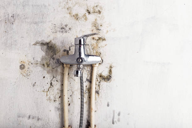 Mold Testing and Removal in New Providence, NJ
