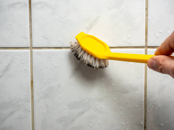 Best Fast Mold Removal  in New Providence, NJ