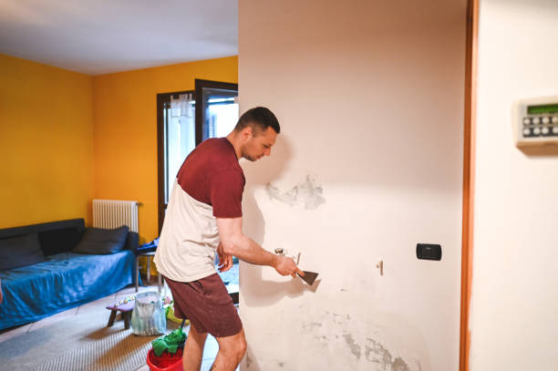 Best Black Mold Removal  in New Providence, NJ